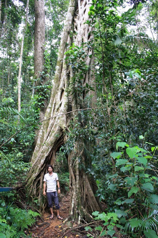 Eungella NP – pozor na přírodu